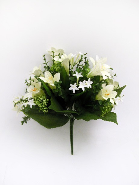 Annie Lily Bush Cream