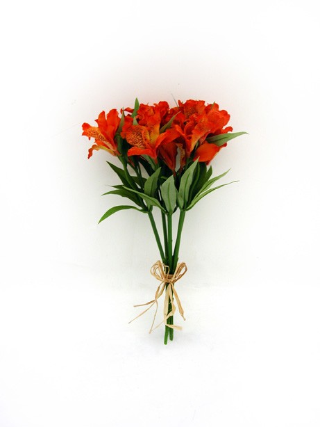 Alstromeria Bundle Orange 