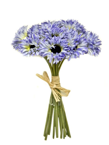 Bundle Daisy x12 Blue