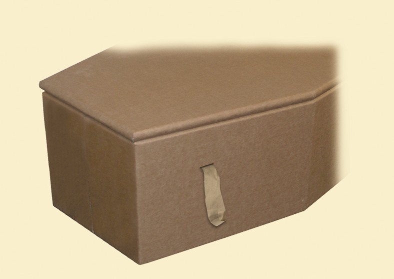 Cardboard coffin (Plain)