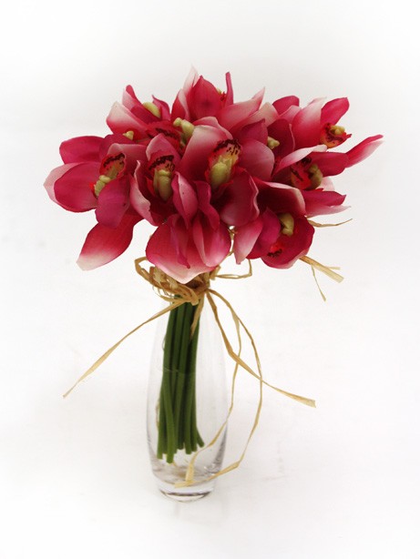 Bundle Cymbidium Pink 