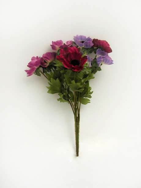 Anemone Bush x9 Multi Colour 