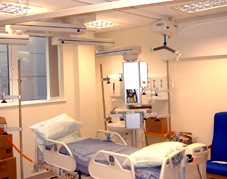Overhead Gantry Body Hoists