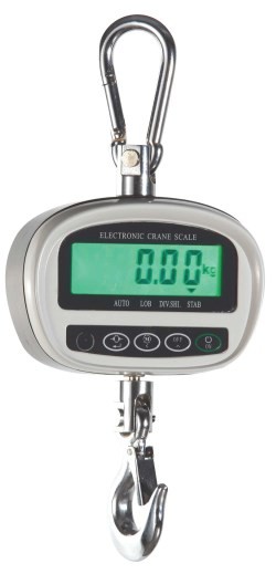 Body hoist scale