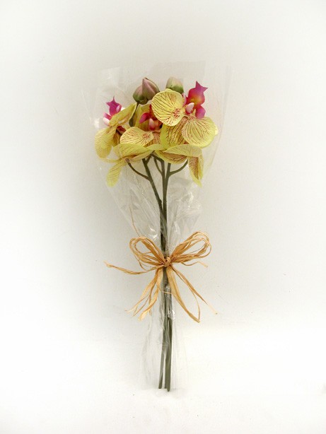 Orchid Bundle x3 Pale Purple