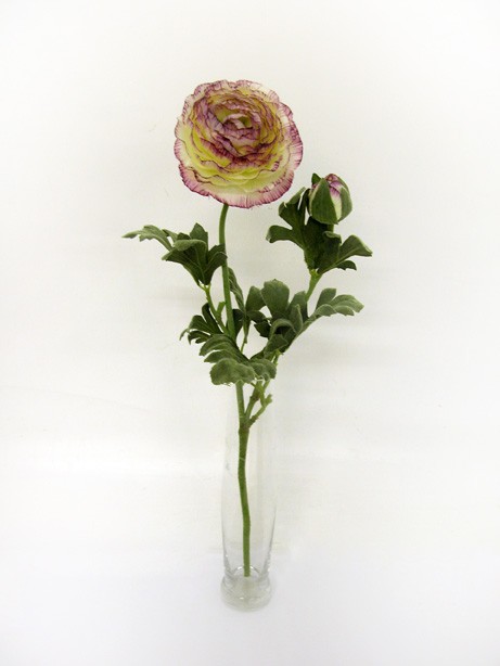 Ranunculus Cream and Purple 40cm