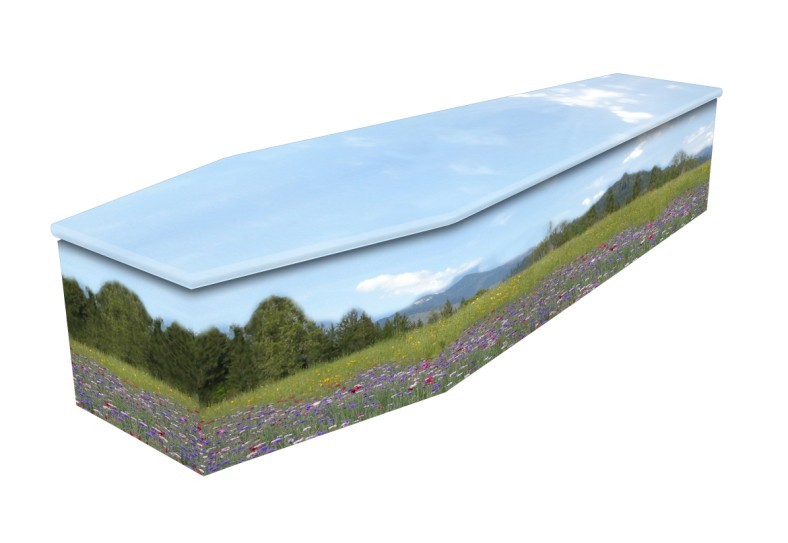 cardboard coffin Summer Meadow 
