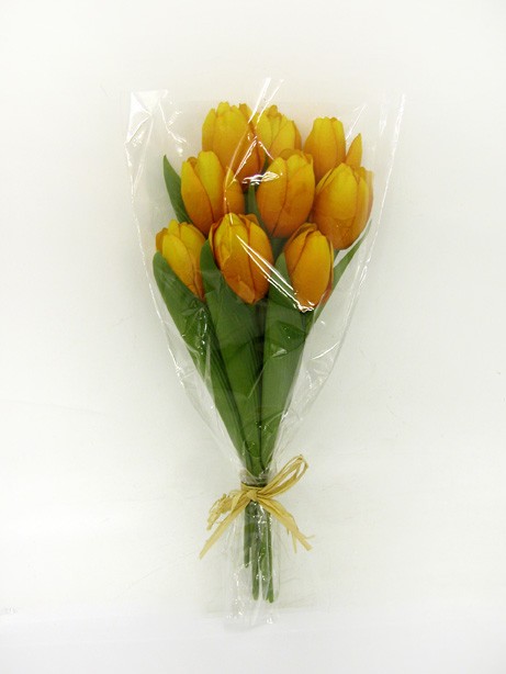 Tulip Bundle x9 Orange 