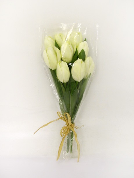 Tulip Bundle x9 Cream