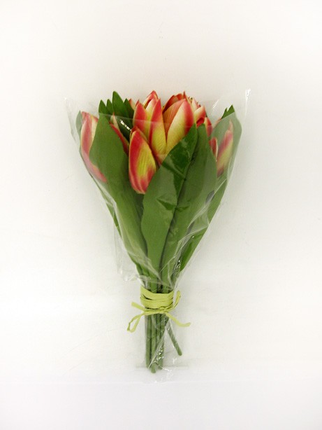 Tulip Bundle x15 Yellow/Red 