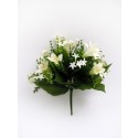 Annie Lily Bush Cream