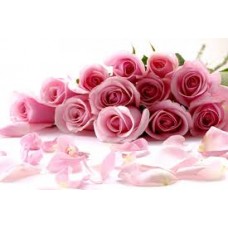 Funeral Homes Signs Package deals