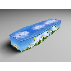 Summer Meadow, Innocence, forest trails coffins