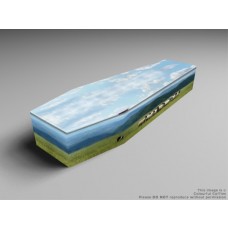 Butterfly, Sheep, Parakeets printed coffins