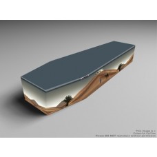 Pony, camels, and Swan printed coffins