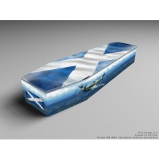 Heros, The Brave, Arctic Camo