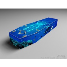 snowboarder, scuba, rugby printed coffins