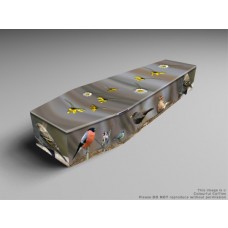 Feathered friends, birds, aquarium,