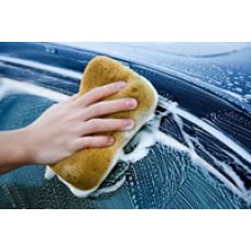 Rose House Carnauba Wash & Wax