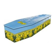 Field Of Daffodils Cardboard coffin