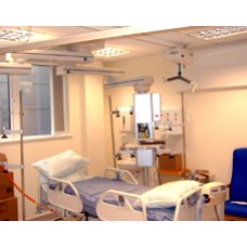 Overhead Gantry Body Hoists