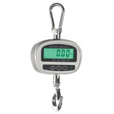 Body hoist scale