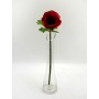 Anemone Stem Red 37cm