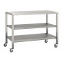 Stainless Steel Trolley 600x600 Twin Solid shelves