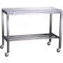 Stainless Steel Trolley 900x600mm 
