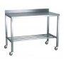 Stainless Steel Trolley with Upstand 1200x750mm